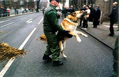 NPD-Demonstration am 14.01.2001
